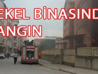 YİNE TEKEL!YİNE YANGIN!