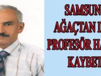 SAMSUN'DA AĞAÇTAN DÜŞEN PROFESÖR HAYATINI KAYBETTİ