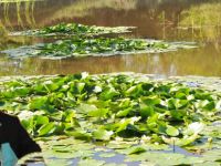 DOĞADAN OKULA BİLİM KÖPRÜSÜ