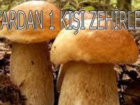 SAMSUN'DA 1 KİŞİ MANTARDAN ZEHİRLENDİ