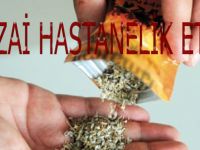 BONZAİ HASTANELİK ETTİ