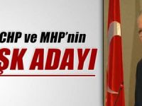 CHP ve MHP'nin Köşk adayı