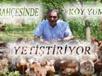 BAFRALI VATANDAŞ MEYVE BAHÇESİNDE KÖY YUMURTASI ÜRETİYOR