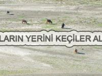 ALTINKAYA BARAJINDA TEHLİKE ÇANLARI ÇALIYOR