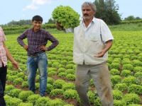 ÜRETİCİLER DERTLİ