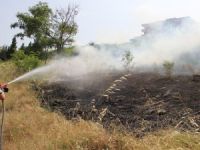 SAMSUN'DA OT YANGINI