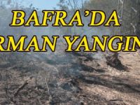 BAFRA’DA ORMAN YANGINI