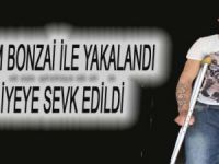 1 GRAM BONZAİ İLE YAKALANDI ADLİYEYE SEVK EDİLDİ