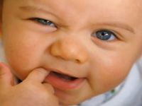 Çocukların ısırmasına izin verin