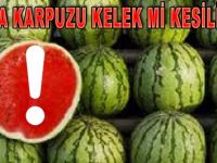 PARAYI BAŞKASI KAZANIYOR İTİBARI KAYBOLAN BAFRA