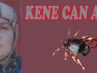 KENE BİR CAN DAHA ALDI