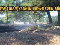 MEZARLIKTA ÇIKAN YANGIN BÜYÜMEDEN SÖNDÜRÜLDÜ