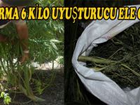 SAMSUN'DA 6 KİLO ESRAR VE 500 KÖK KENEVİR ELE GEÇİRİLDİ