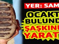 SAMSUN'DA 2 MİLYON YILLIK FOSİL BULUNDU