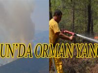 SAMSUN'DA ORMAN YANGINI