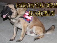 BAFRA'DA 50 KİLOGRAM ESRAR ELE GEÇİRİLDİ