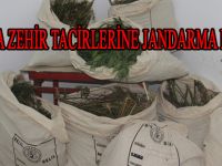Bafra'da Zehir tacirine jandarma darbesi