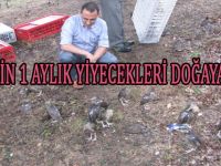 TİLKİLERE SÜLÜN SALINDI