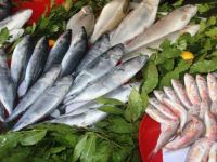 Samsun’da Balık Tezgahları Şenlendi