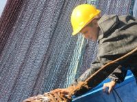 BALIKÇILARIN PALAMUT SINAVI İYİ GEÇMEDİ