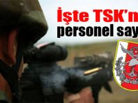 İşte TSK’nın personel sayısı
