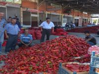 KIRMIZI BİBER YÜZ GÜLDÜRDÜ
