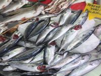 BALIK FİYATLARI EL YAKIYOR