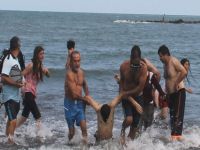 KARADENİZ BİR CAN DAHA ALDI