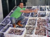 KARADENİZ’DE BALIK BEREKETİ