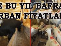 İŞTE BAFRA’DA KURBAN FİYATLARI