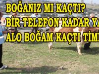 SAMSUN’DA “ALO BOĞAM KAÇTI” TİMİ