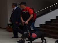 BOMBA ARAMA KÖPEĞİ "HANÇER"