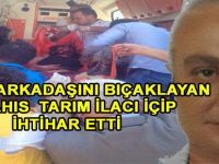 BAYAN ARKADAŞINI BIÇAKLAYAN ŞAHIS İNTİHAR ETTİ