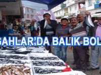 TEZGÂHLAR BALIK ÇEŞİTLERİYLE DOLDU