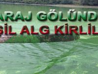 AYVACIK'TA BARAJ GÖLLERİNDE YEŞİL ALG KİRLİLİĞİ