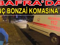 BAFRA'DA 2 GENÇ BONZAİ KOMASINA GİRDİ