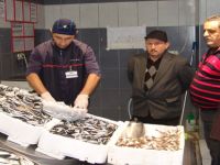 YERLİ HAMSİ TEZGAHLARDAKİ YERİNİ ALDI