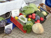 Kışlık sebzeler görücüye çıktı