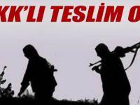 Şırnak’ta 8 PKK’lı teslim oldu