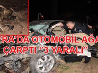 BAFRA'DA AĞACA ÇARPAN ARAÇ PARÇALANDI ''3 YARALI ''
