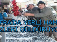 BAFRA’DA YERLİ HAMSİ YÜZLERİ GÜLDÜRÜYOR