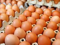 Yumurta yemek için 4 akıllı neden