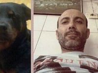 Aç kalan köpek kendini asan adamı yemiş