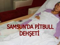 PITBULLUN AĞIR YARALADIĞI KADIN YAŞADIĞI DEHŞETİ ANLATTI