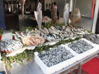 SICAK HAVA HAMSİYİ KAÇIRTTI