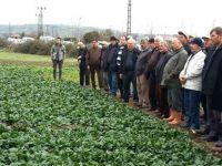 BARADA TARLA GÜNLERİ