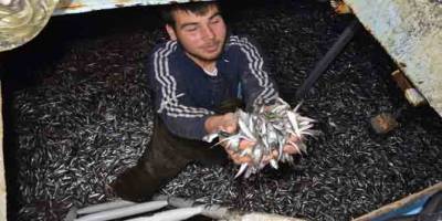 HAMSİCİLER MAHKEMELİK OLDU