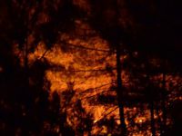 YAKAKENT'TE ORMAN YANGINI SÜRÜYOR