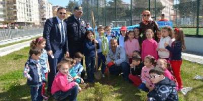 BİZİM BİR AĞACIMIZ VAR