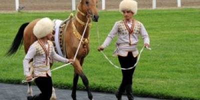 ATLARIN GÜZELLİK YARIŞMASI